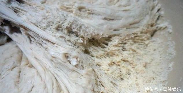 爱吃包子的有福了,学会此种方法,包子又香又软还不塌陷