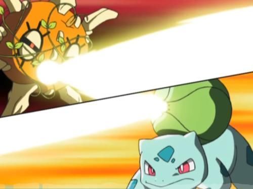 剧本|小智最机智的草系宝可梦,不进化的它仿佛已经看了10年后的剧本