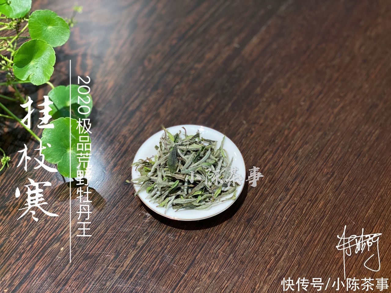 茶梗|谷雨白牡丹、小雪牡丹、巧克力味白茶，听着高大上，实是劣质品