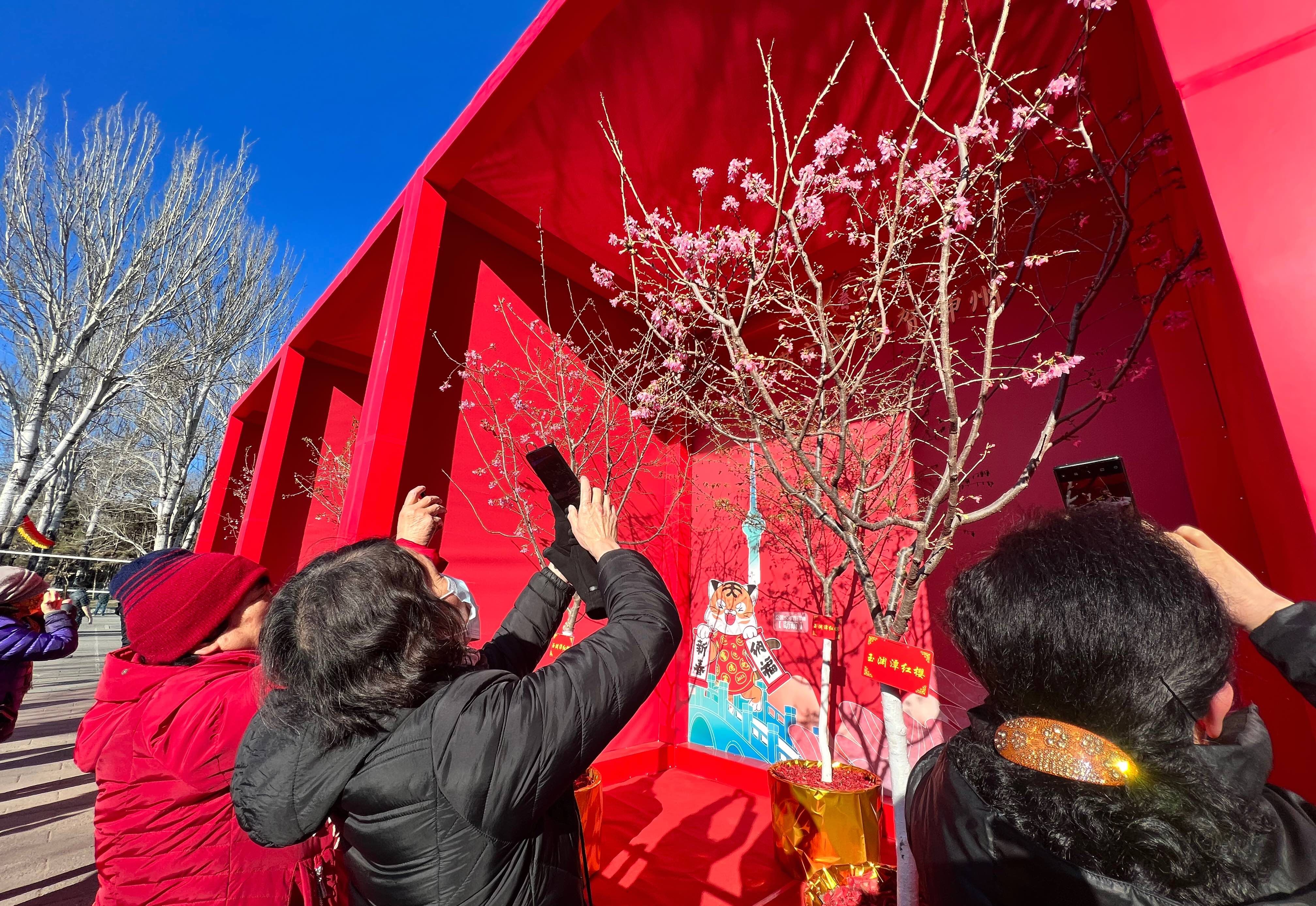 玉渊潭公园|春节假期北京市属公园接待游客171.27万人次