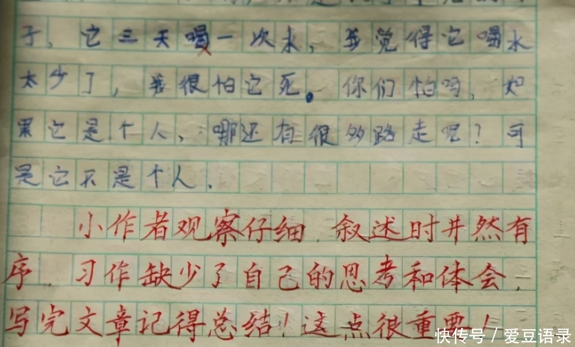 她是一位将硬笔书法写到极致的女代课教师，字迹堪比“印刷体”
