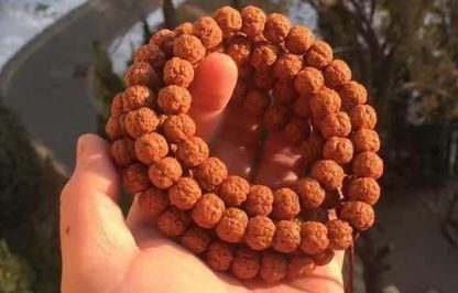 此文|玩金刚菩提几年也没有好效果?此文值得一看