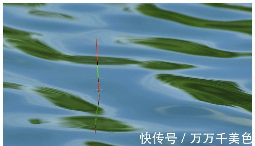 能掌握这6个基本规律,就走出了新手圈,渔获翻倍都有可能