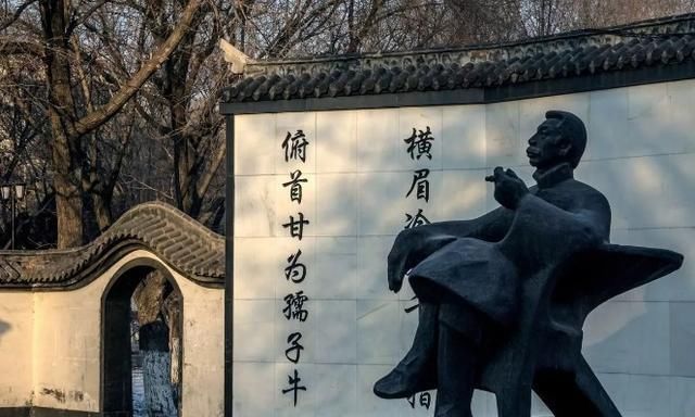 作家|“旧人”鲁迅下架,“新人”偶像登上孩子们的书本,这真的合适吗