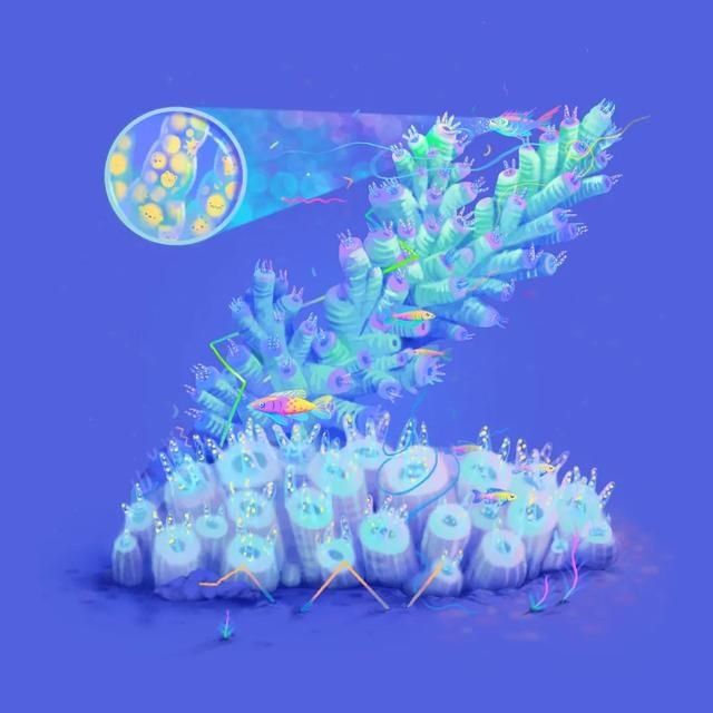  创意|用海底生物结合字母创意十足