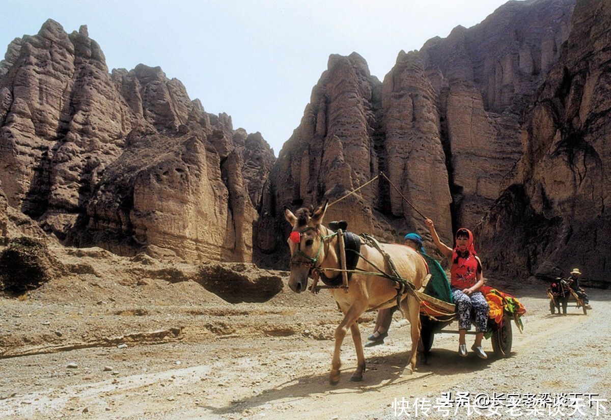 青铜峡|从景泰到青铜峡