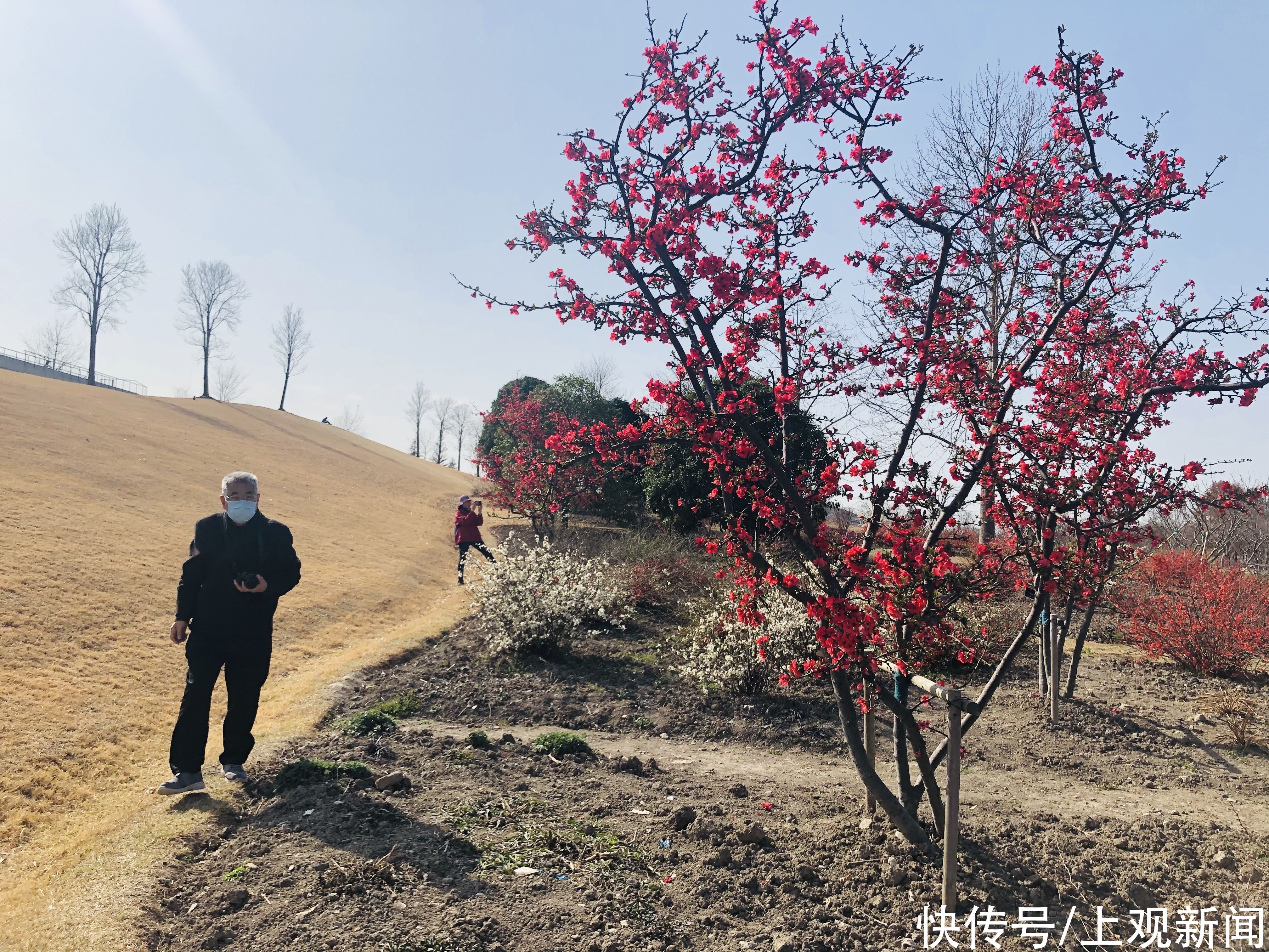 春暖花开，松江这里活该这么美