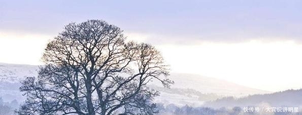 “冷在三九”,今年三九是哪些天?今年冬天什么时候最冷?