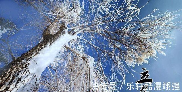 红豆|立冬将至，记得多吃三白、三红，少食三样，驱寒暖身身体棒