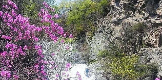 花海|北京有一超美景区，最高海拔1800米，以山门天池为主题，非常吸睛