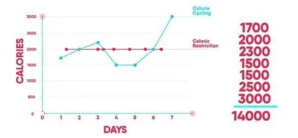 间歇性|3种饮食方法，减掉肚子上“顽固脂肪”