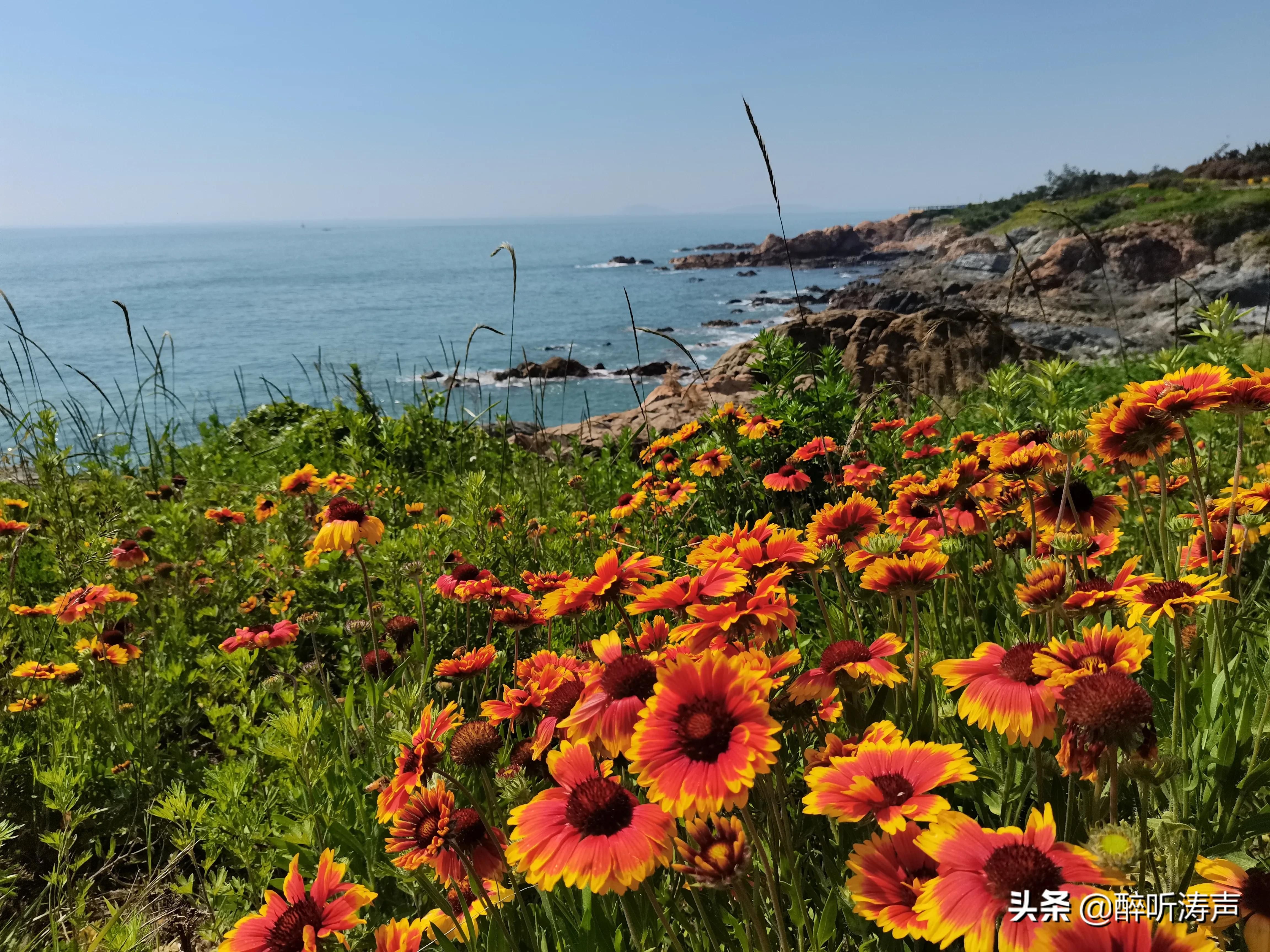 难以形容|天蓝海蓝花海一片片，难以形容的东环岛路之美