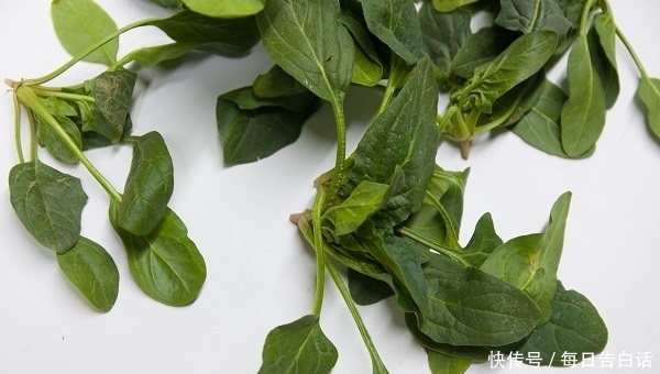 肝也有“喜欢”的食物,便宜又营养,经常吃,肝脏也许会夸你聪明