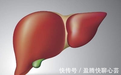 李兰娟|豆浆是肝病的“发物”吗?院士李兰娟:若想肝好,四类食物要少碰