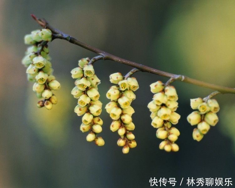 光宗耀祖|妈妈是4个生肖，生的孩子天生智商高，必定会出类拔萃！