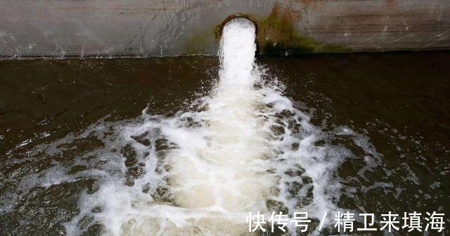 乌龟&古人为何要在打好的井里放只乌龟听完原因,人们纷纷这样做!