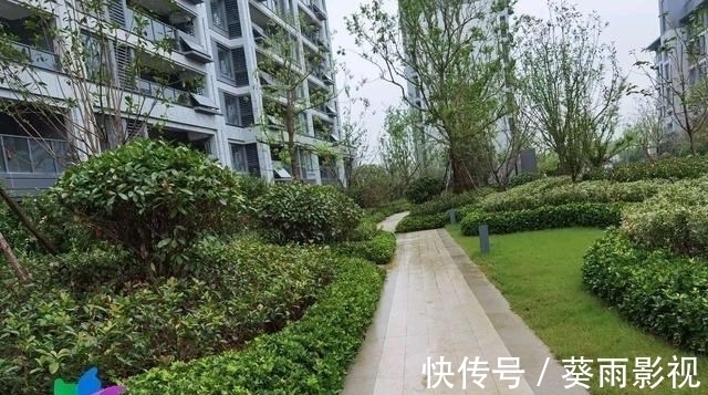 渠道|其他投资渠道太少,是房价上涨的部分主因
