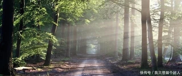 规律!易经:一个人能成事,除了努力,还要悟性,掌握时机有3个诀窍