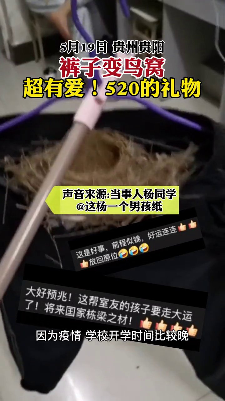 鸟蛋|真有爱！男生裤子晾阳台被鸟搭窝，继续放阳台没想到又下了鸟蛋！