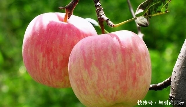 为何“脑梗”越来越普遍？忠告：这4类食物最好戒掉，忍住就是赢