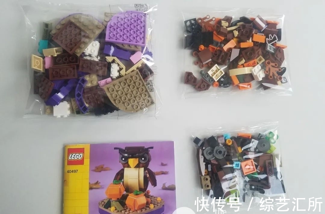 评测|乐高季节套装40493万圣节猫头鹰和40497蜘蛛与鬼屋评测