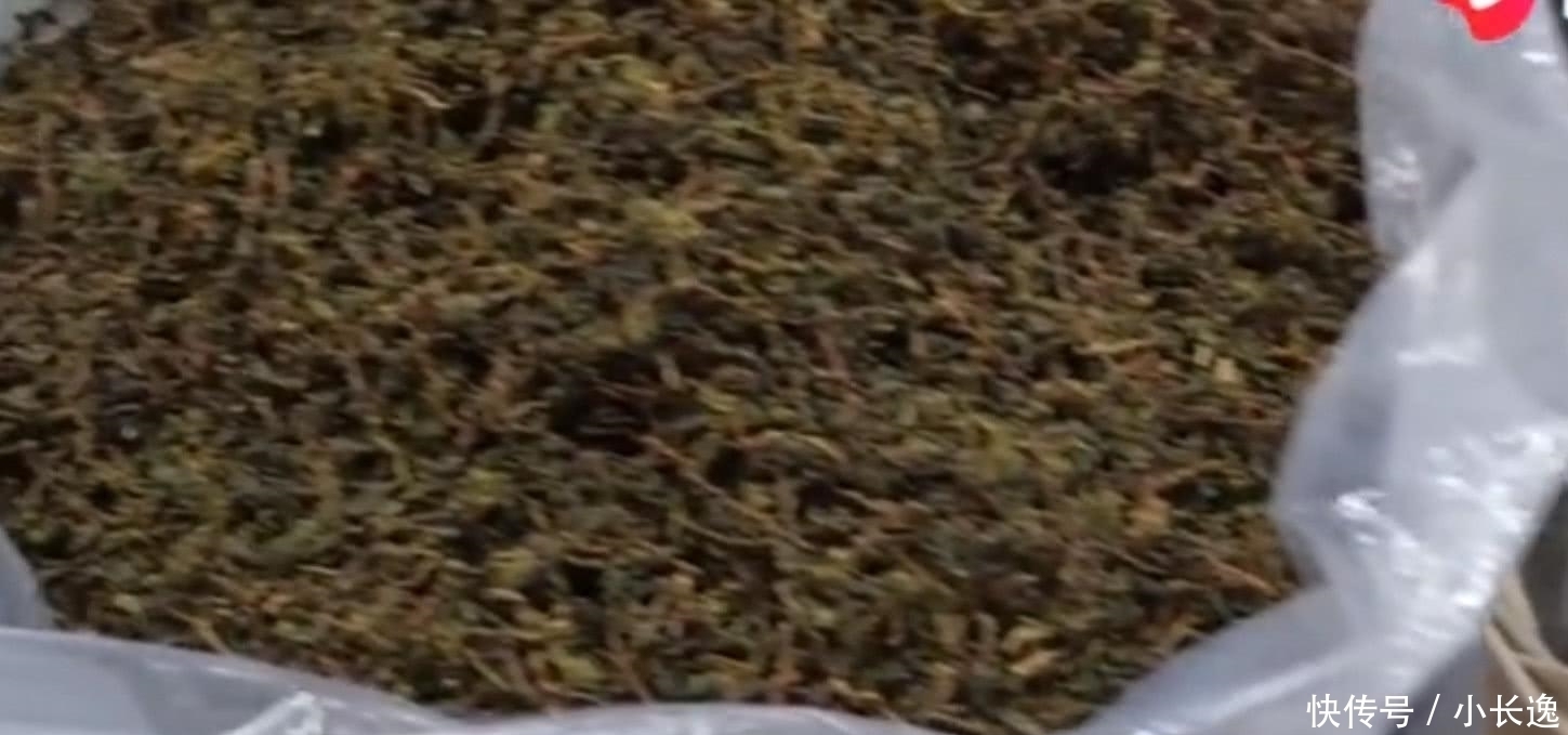 铁观音|为什么现在很多人不喝铁观音了,看完你就会明白了