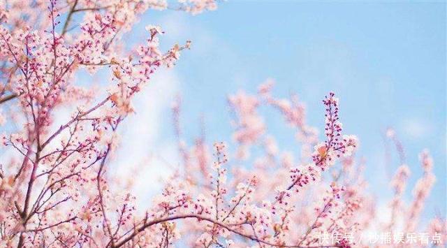 浪漫|浪漫的樱花季到了,赶快来跟女神们,get浪漫的仙女美甲吧