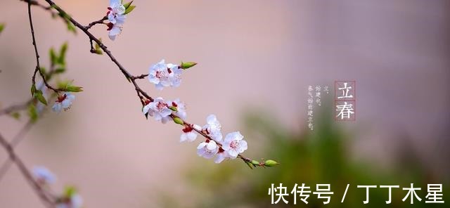 细胞|立春是甲状腺黄金保养期,少吃“1红2绿”,帮助养护甲状腺功能