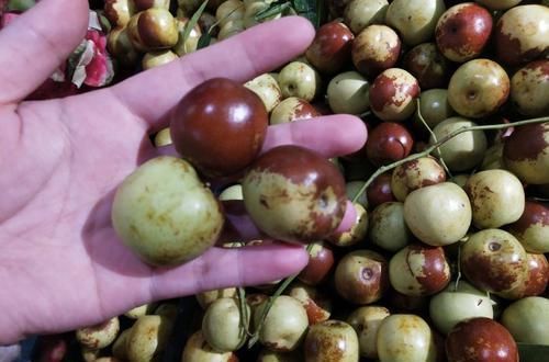 挑大|买冬枣时,有人挑大的?有人挑甜的?都不对,教你几招,吃着健康放心!