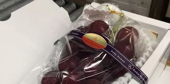 草莓|世界上最贵的水果,吃过3种以上的都是土豪啊