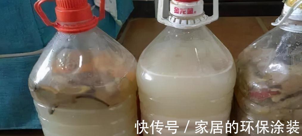 花肥不用买，在家自己做，“垃圾”桶里泡一泡，浇花大爆棚