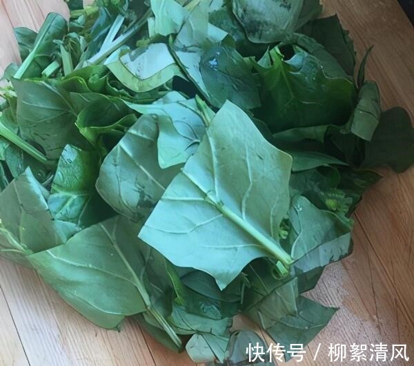 鸡蛋饼|素拌三丝的做法!