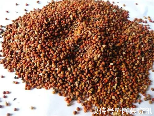 白丁香|一个古方,2味药!强腰膝,补虚劳,悦颜色,壮筋骨!妙不可言!