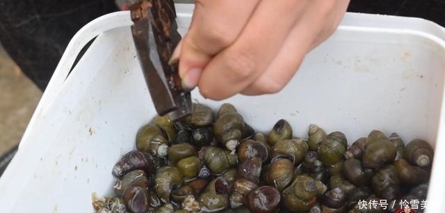 炒石螺最好吃的做法,简单美味又馋人,看看你喜欢吃不?