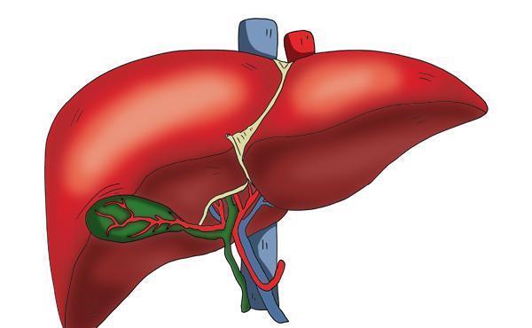 医生:从乙肝到肝硬化,多少人败在了“3个字”上,提前预防