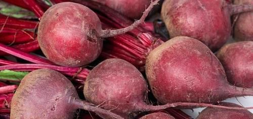  泡水|蒲公英和它“天生一对”，搭配泡水喝，养肝排毒，皮肤越来越红润