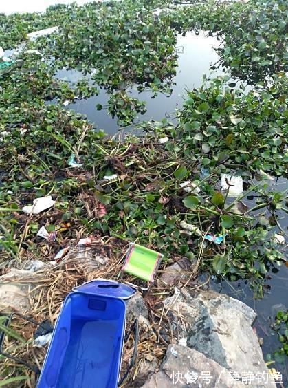 冒出水面|冬天太冷,鱼不好找?庆幸老钓手透露这几招,上鱼速度那叫一个快