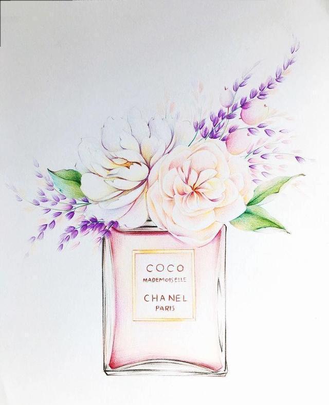  香水瓶|画画如何不“歪”，运用整体概括思维找型，香奈儿CoCo，彩铅教程