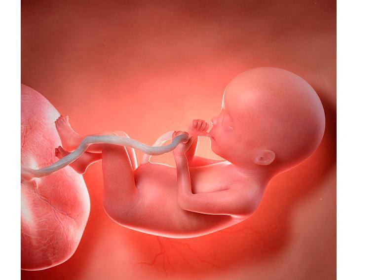 胎心|哪种情况需要剖腹产?哪些情况需要顺转刨?准妈妈需要提前看