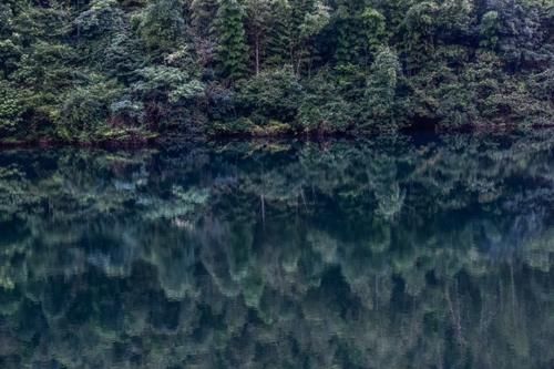 江苏南山竹海：一个“烂大街”的景区，却美如仙境