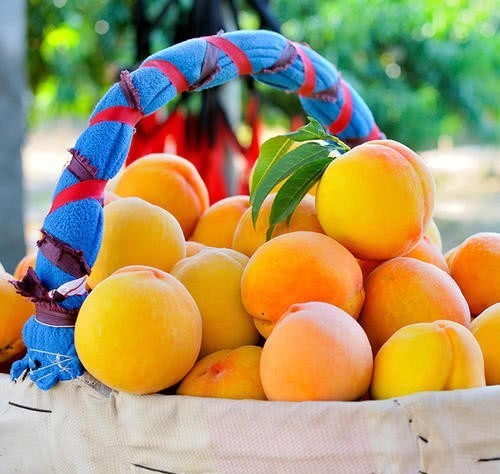 竟然|唐朝人爱吃“西餐”，竟然都是我们现在熟悉的食物