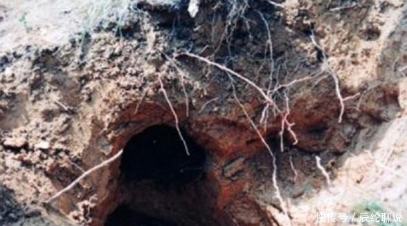专家|大山的这座古墓,专家和盗墓贼都没找到,结果被一老人发现了
