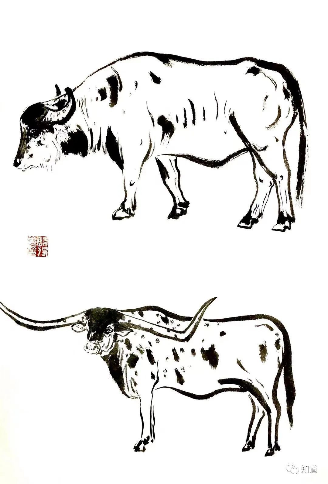 微信朋友圈|一位画家辛丑年的微信朋友圈（3）