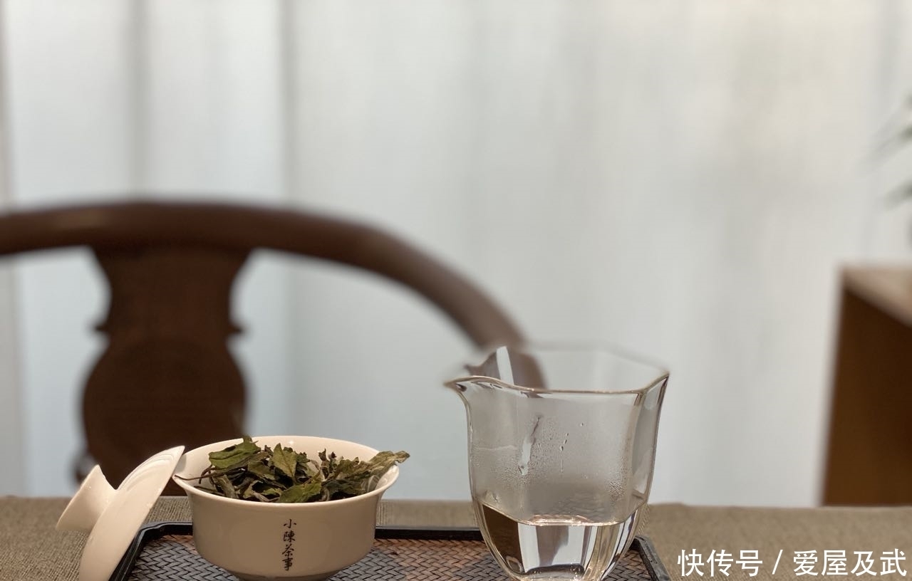  老白茶|新手买茶，从小罐装的白茶入手，这4点好处藏都藏不住，别选错了