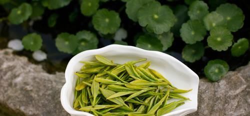 有口臭，很尴尬？教你几个小妙招，清新口气，口臭一去不复返