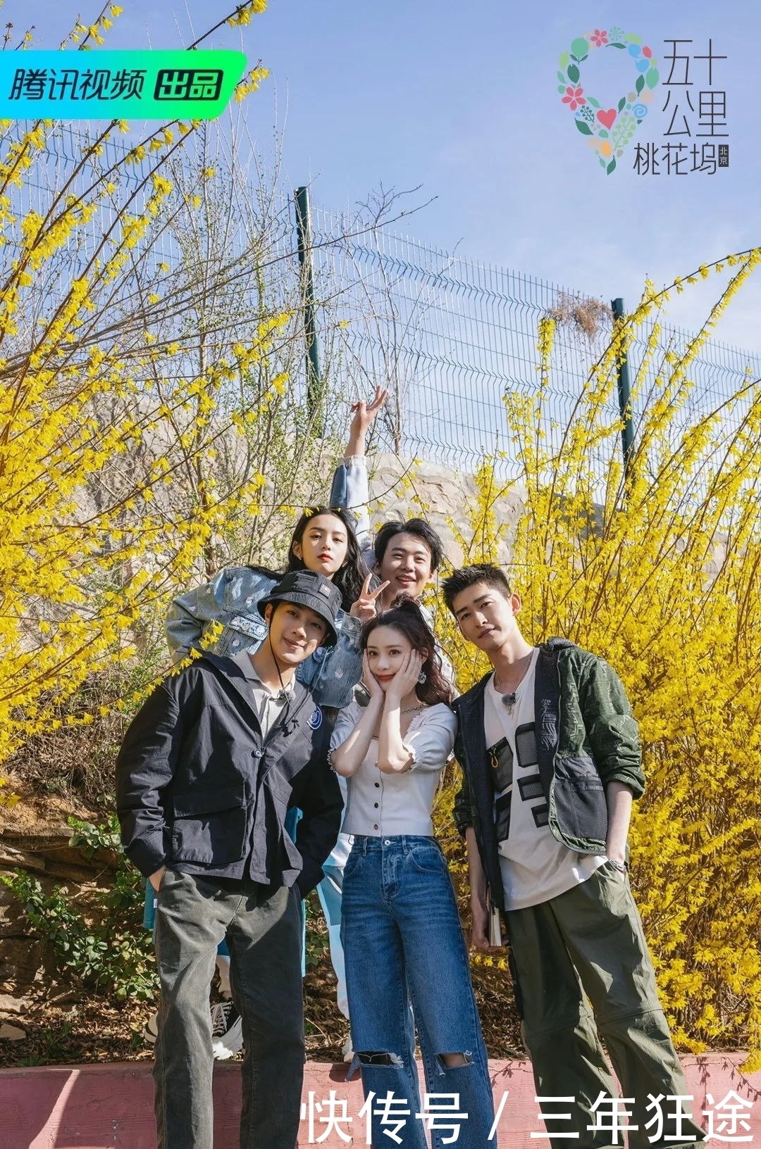 花儿与少年|什么桃花坞,这不就是“花儿与少年版的向往的生活”嘛。