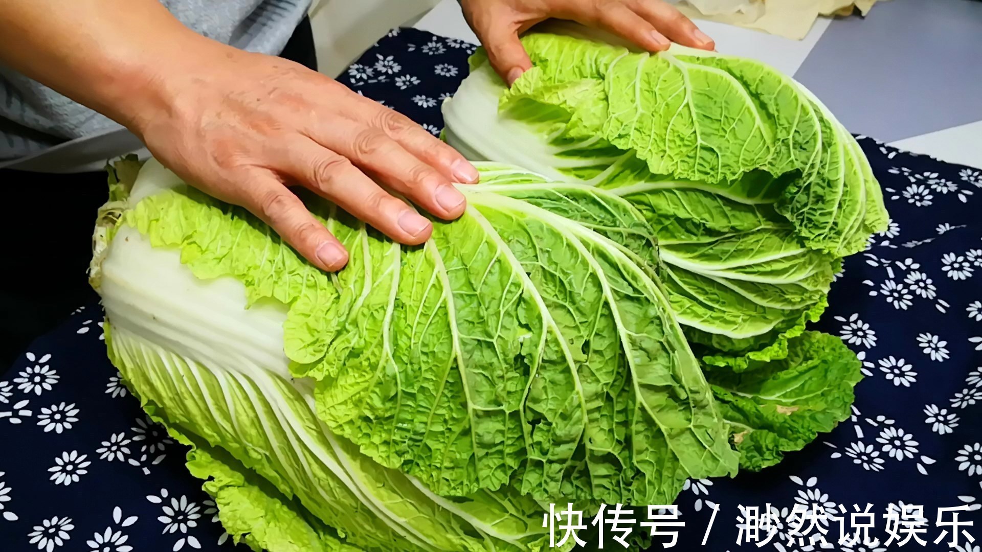 不管是保存萝卜还是白菜,学会此方法,放一冬天都新鲜,特方便!