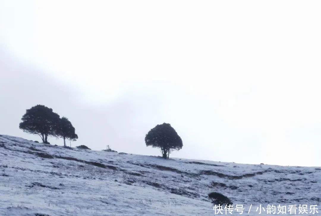 写意天池，童话天子山，一波云龙雪景美图来袭