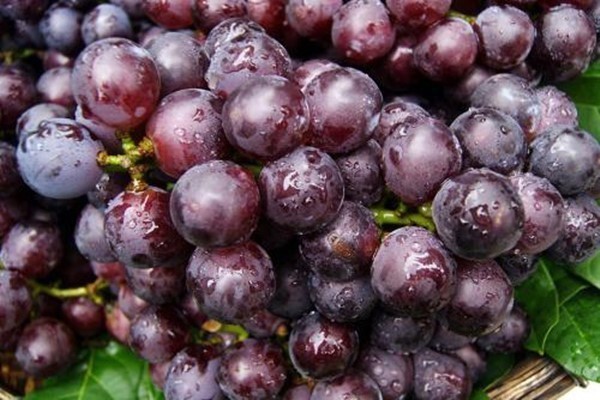 含有|糖尿病患者不能吃“水果”大错特错!医生提醒这5种水果放心吃