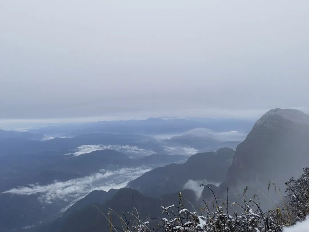 温泉节|下雪啦！峨眉山深秋初雪惊喜而至